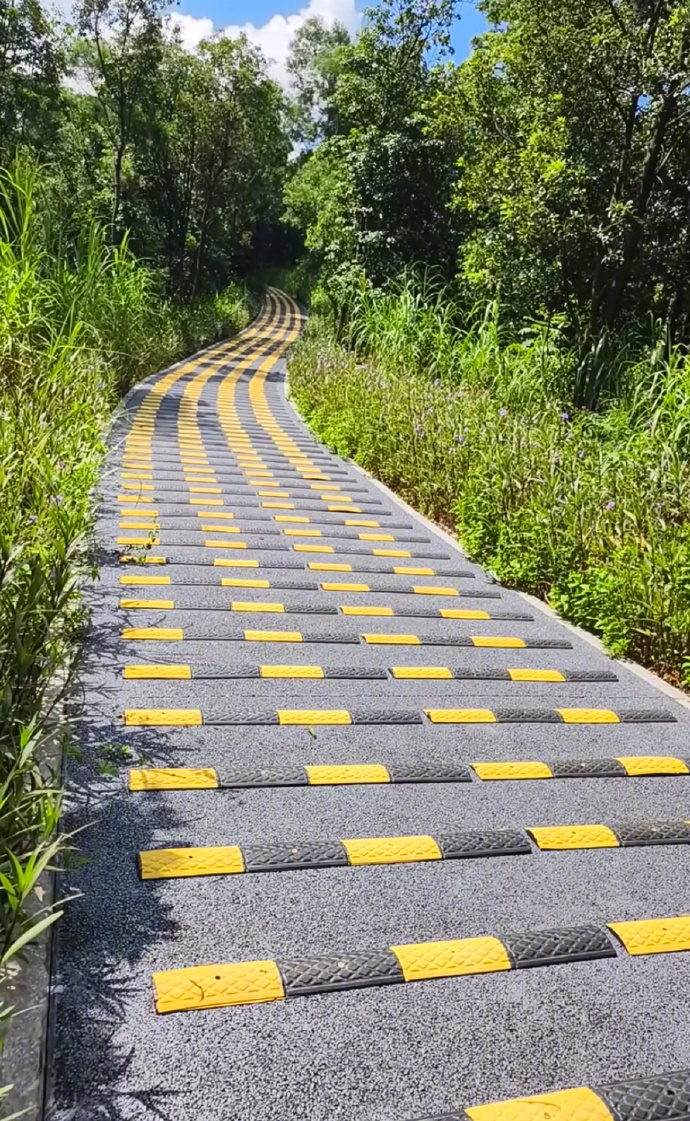 What’s the Ideal Distance Between Speed Bumps?